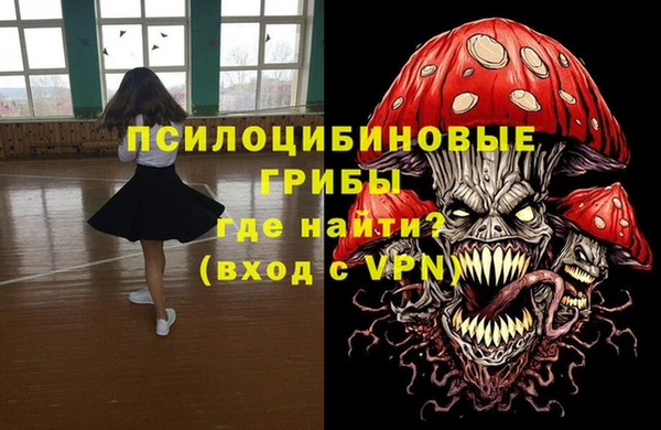 индика Медвежьегорск