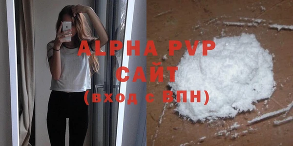 индика Медвежьегорск