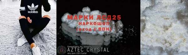 индика Медвежьегорск