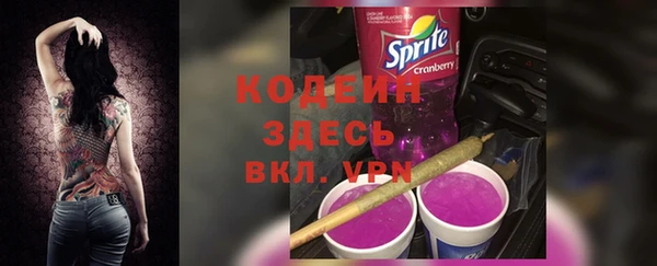 индика Медвежьегорск