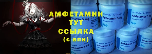 индика Медвежьегорск