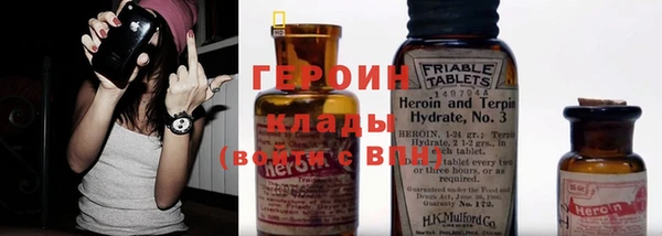 индика Медвежьегорск