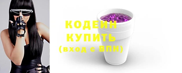индика Медвежьегорск