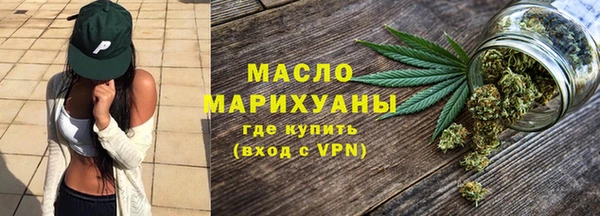 индика Медвежьегорск