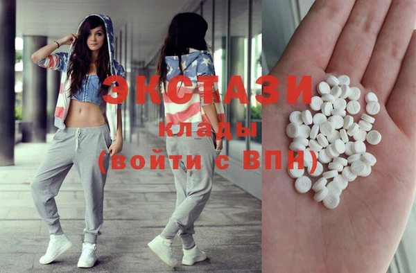 индика Медвежьегорск