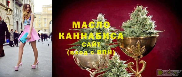 индика Медвежьегорск