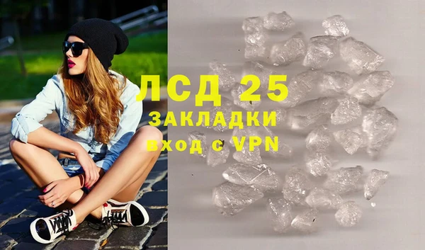 индика Медвежьегорск