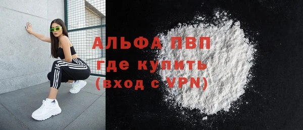 индика Медвежьегорск