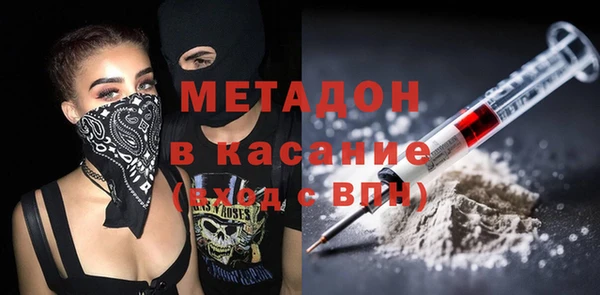 индика Медвежьегорск