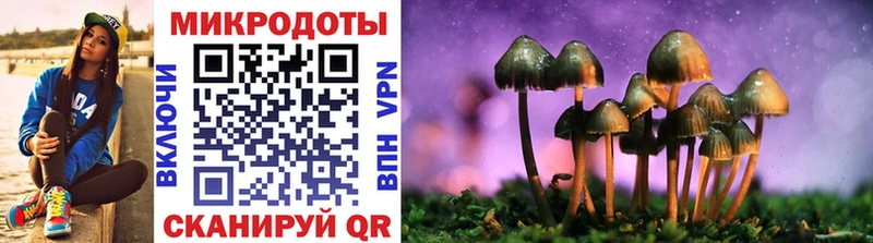 Псилоцибиновые грибы Psilocybine cubensis  Колпашево 